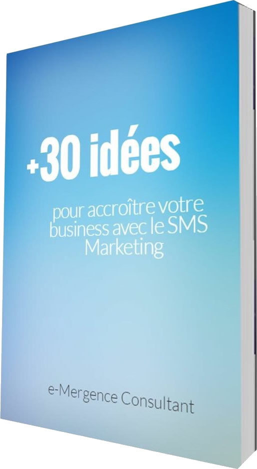 SMS Marketing pour Entreprise